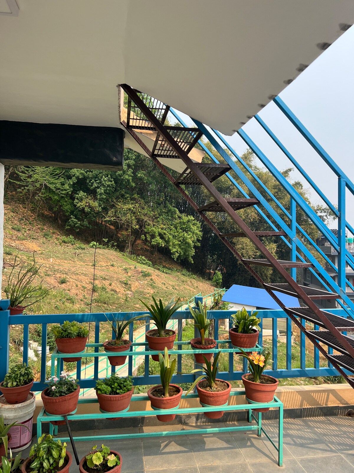 Forest Apartment — photo