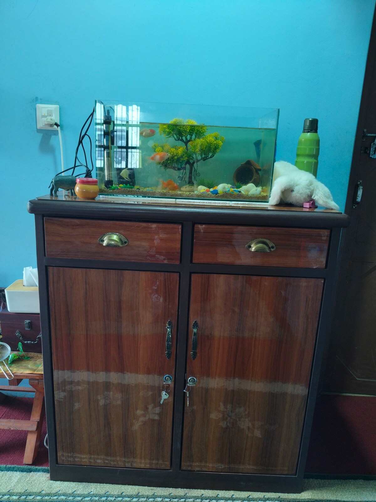 Home away from home — photo