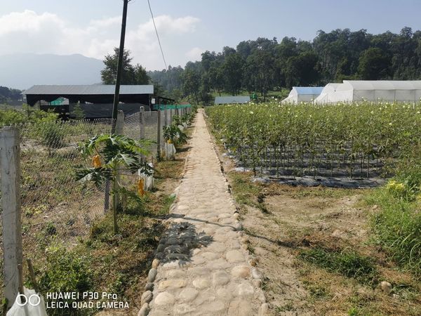 Welcome to Madi Organic Farmstay — photo