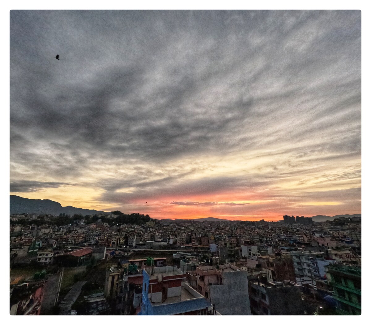 Shova's Homestay — photo