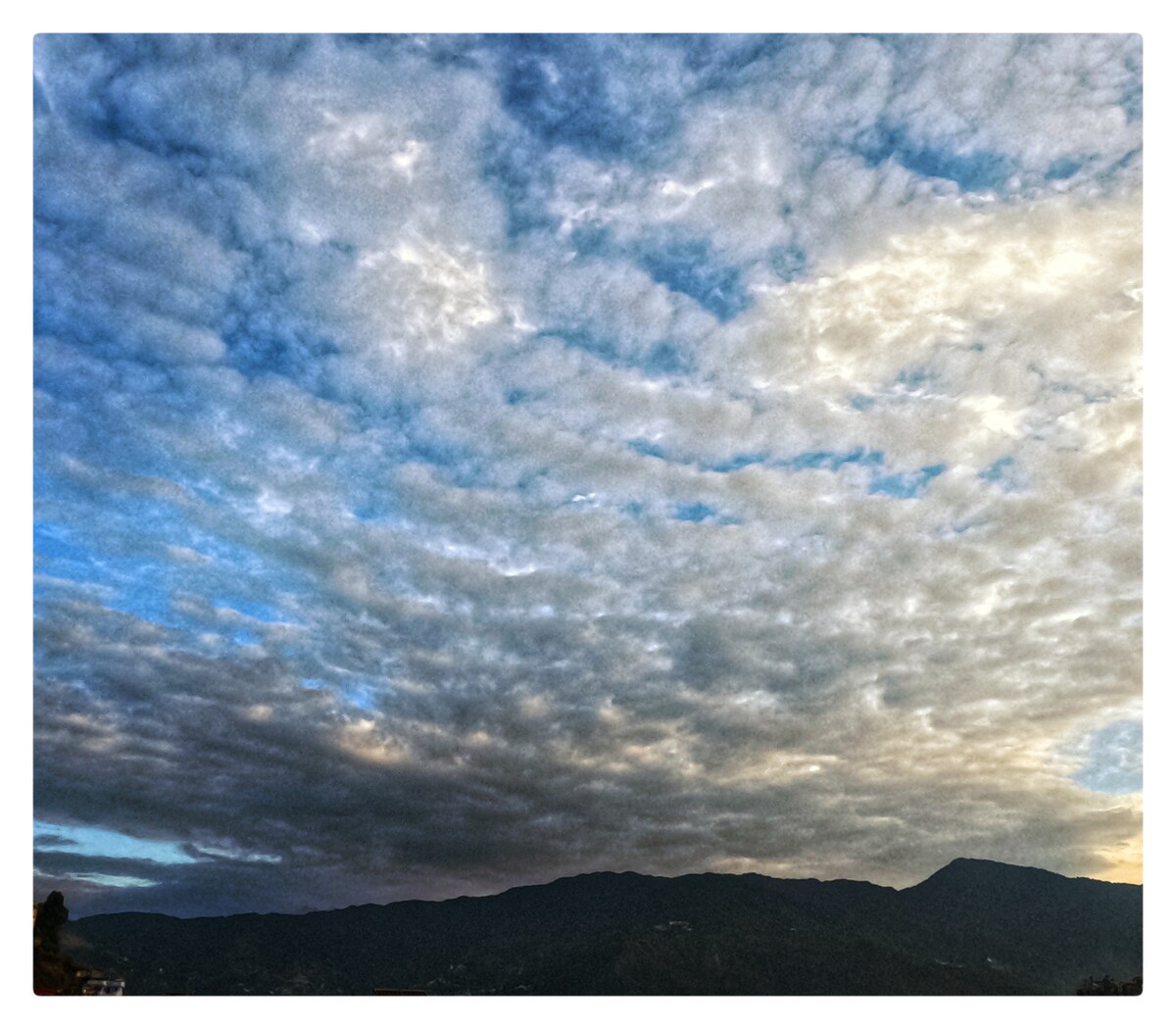 Shova's Homestay — photo