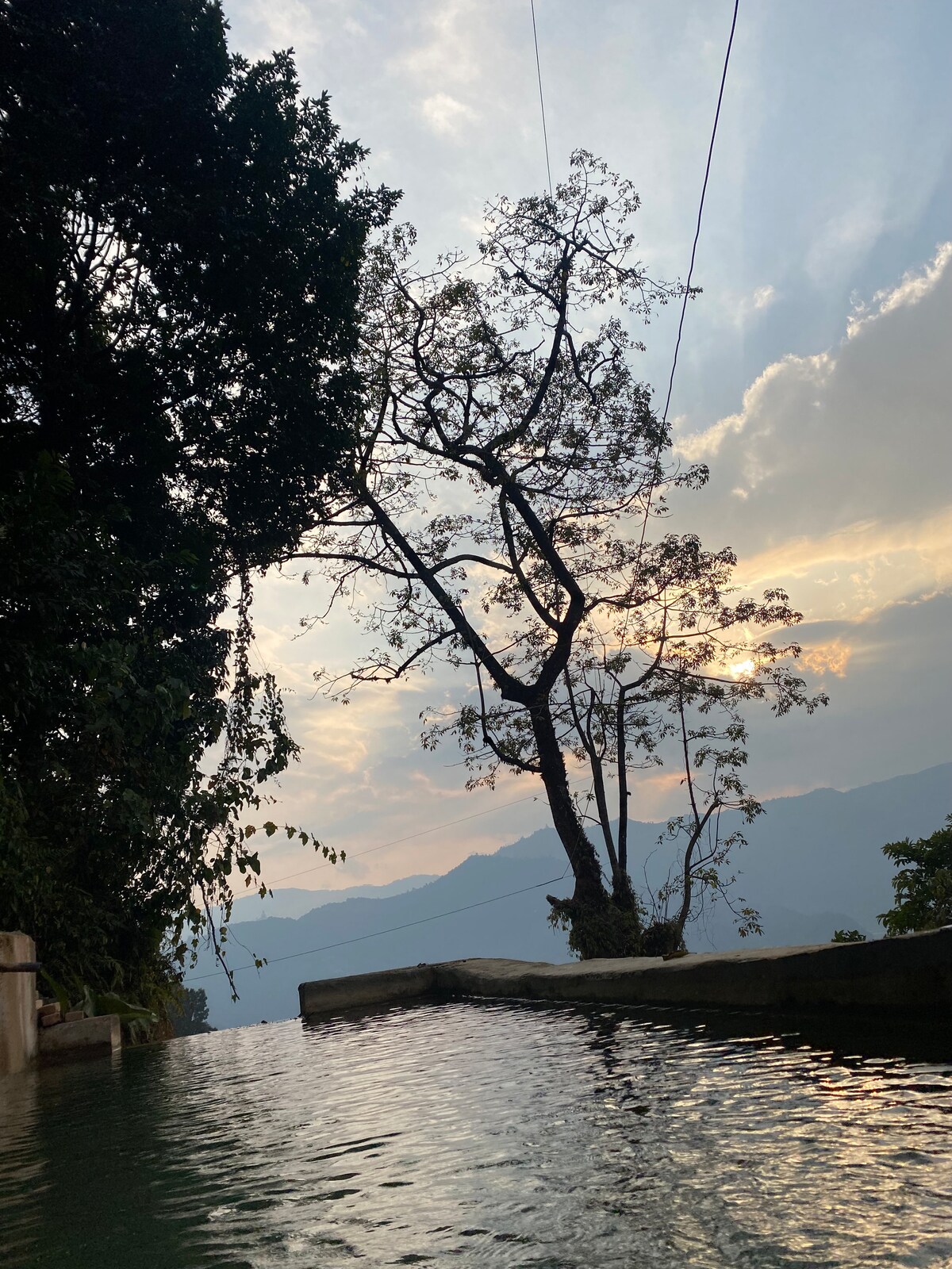 Into the Wild — photo