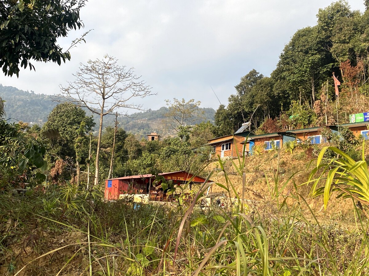 Into the Wild — photo