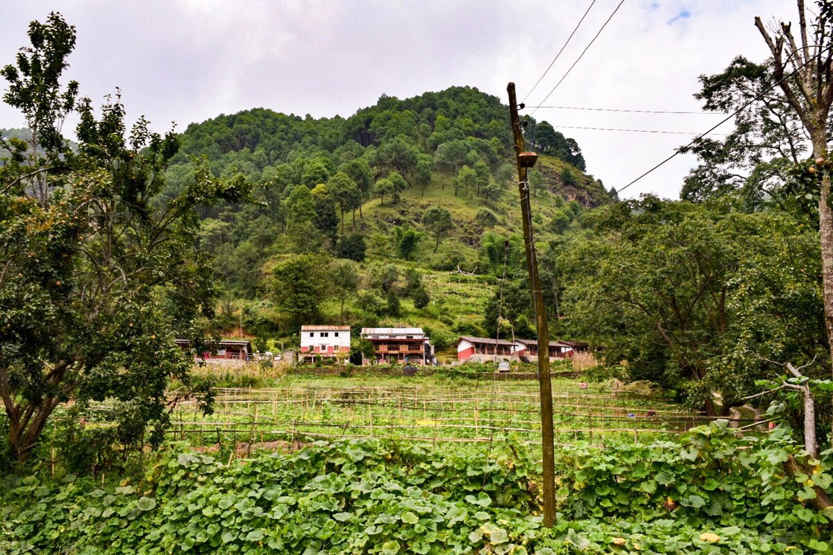 Solid Rock Lodge & Restaurant — photo