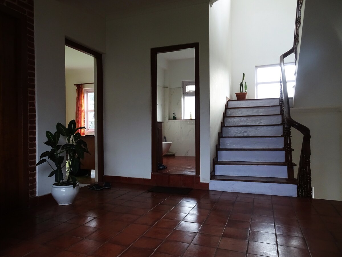 Hello Casa — photo