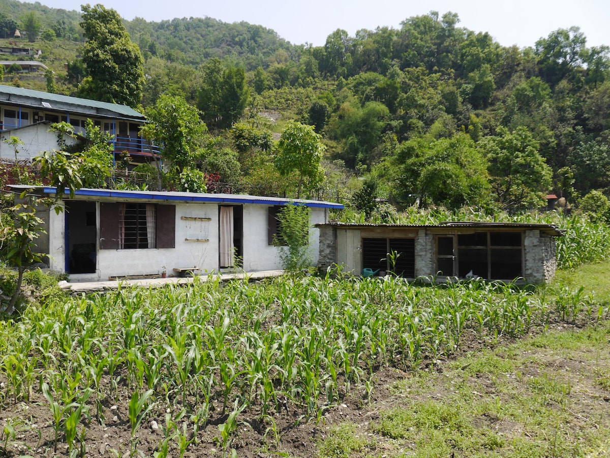 Small local Nepali house farm