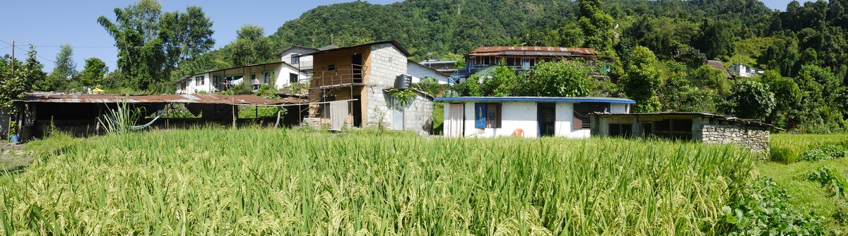 Small local Nepali house farm — photo