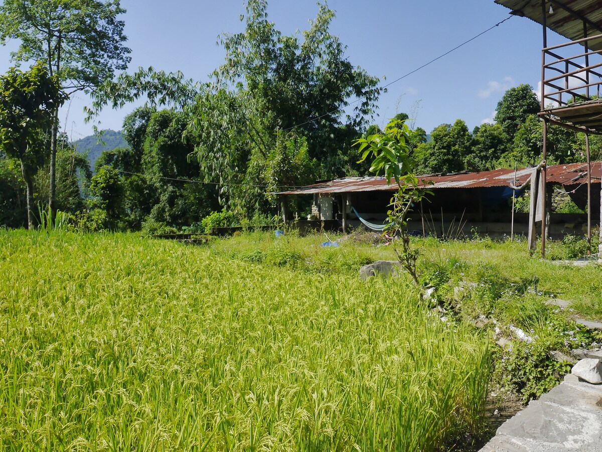 Small local Nepali house farm — photo