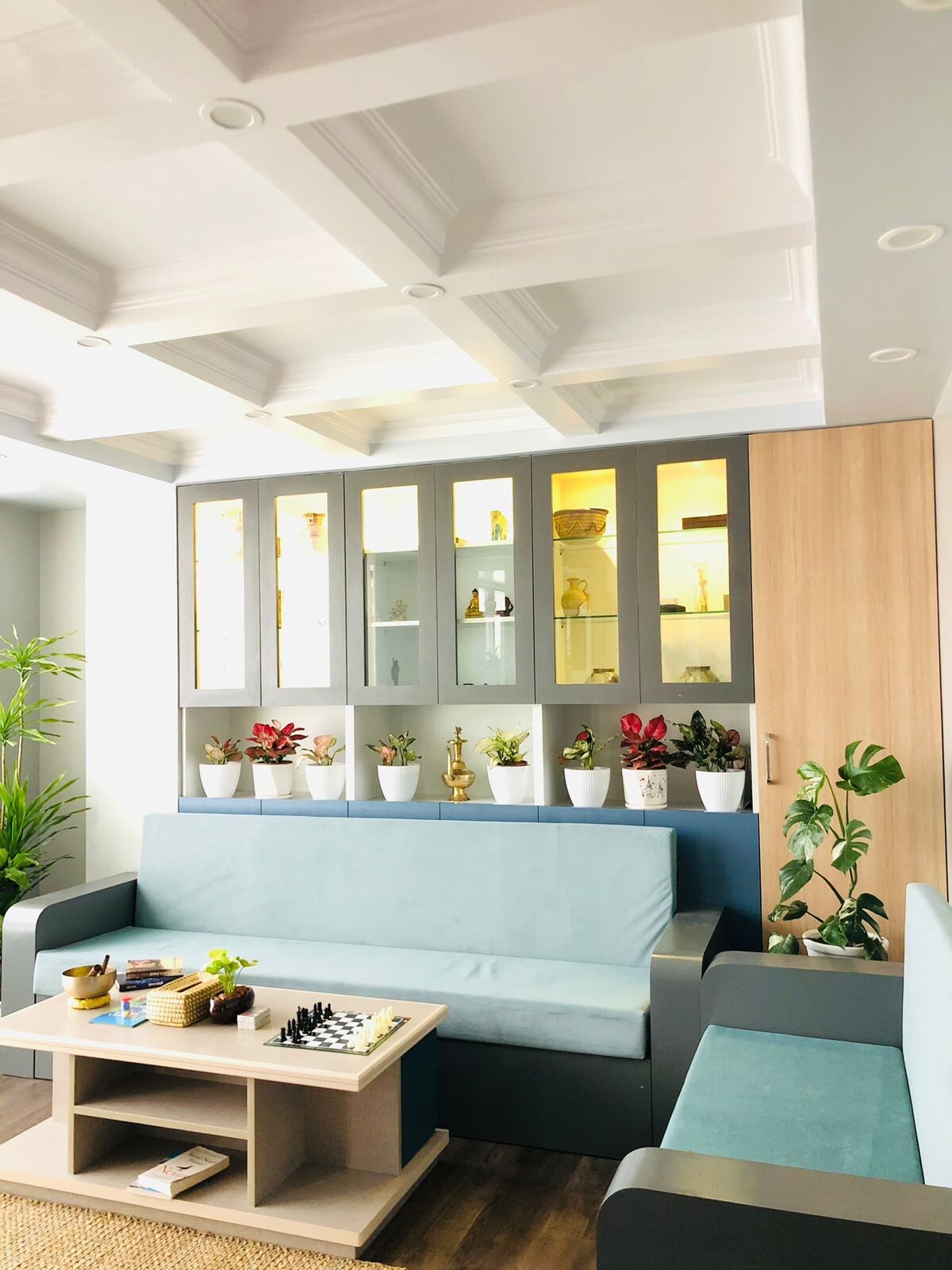 Montana Plant Apartment: A green escape