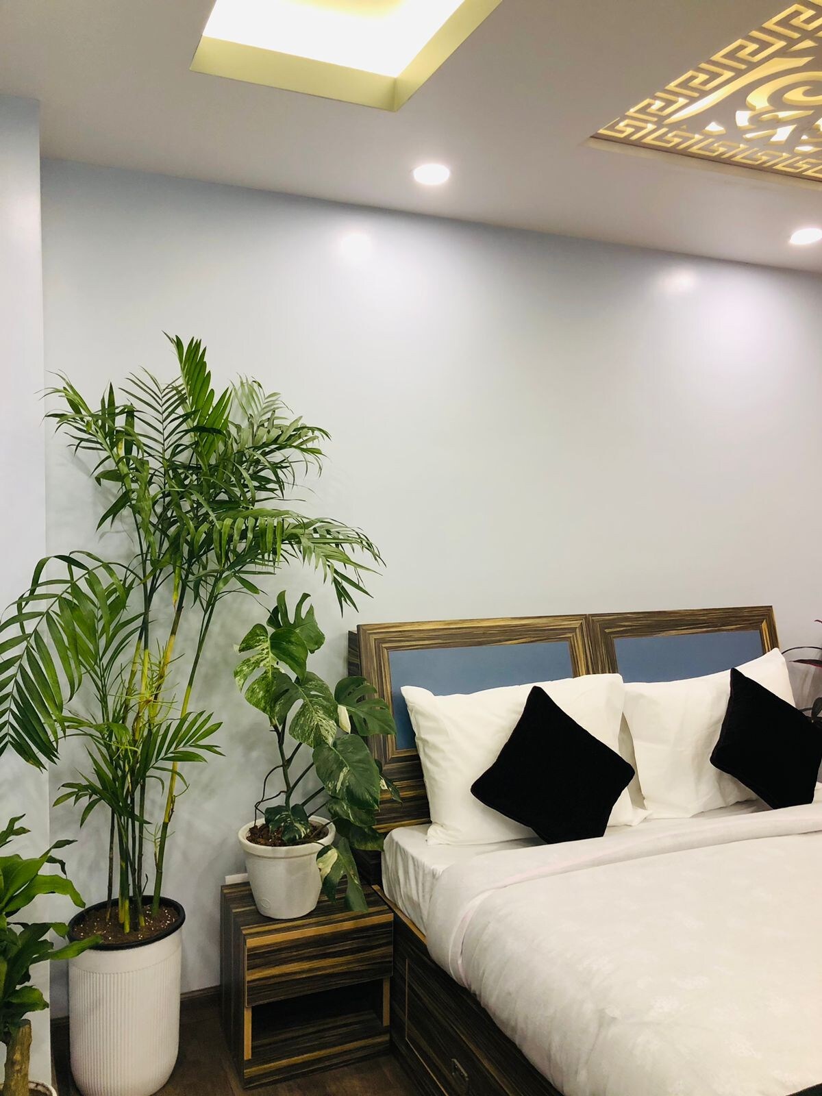 Montana Plant Apartment: A green escape — photo