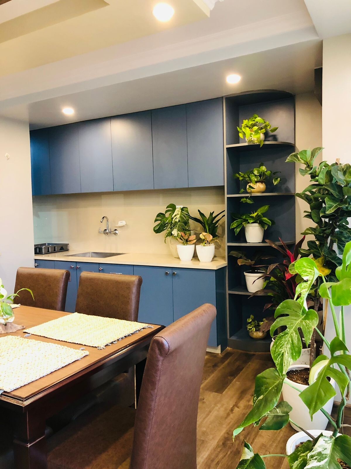 Montana Plant Apartment: A green escape — photo