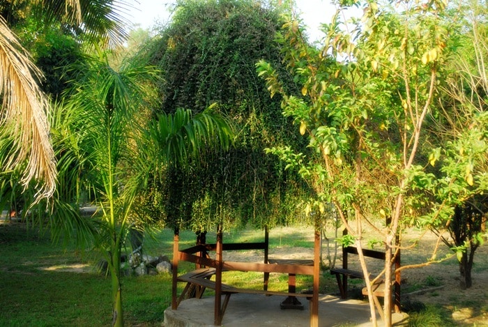 A Resort in Nepal with pool and restaurent — photo