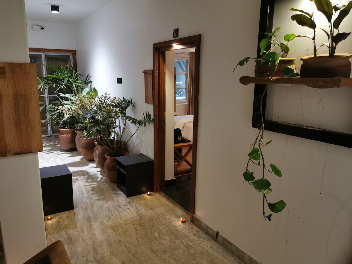 Studio (with fully equipped kitchen) — photo