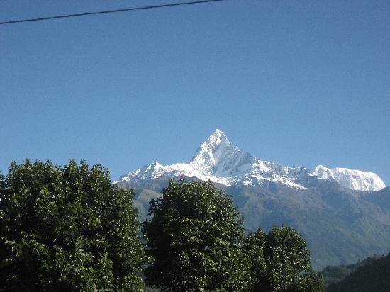 Beautiful Family Home — photo