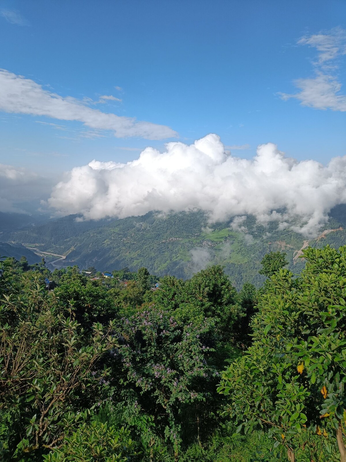 karmidanda home stay. — photo