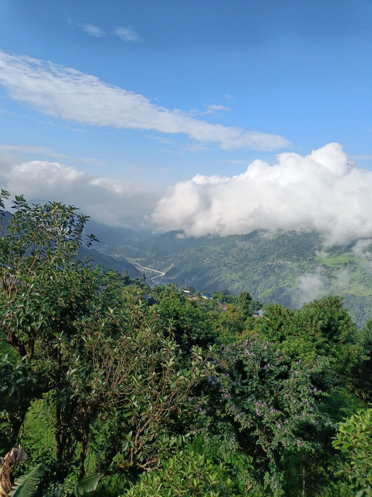 karmidanda home stay. — photo