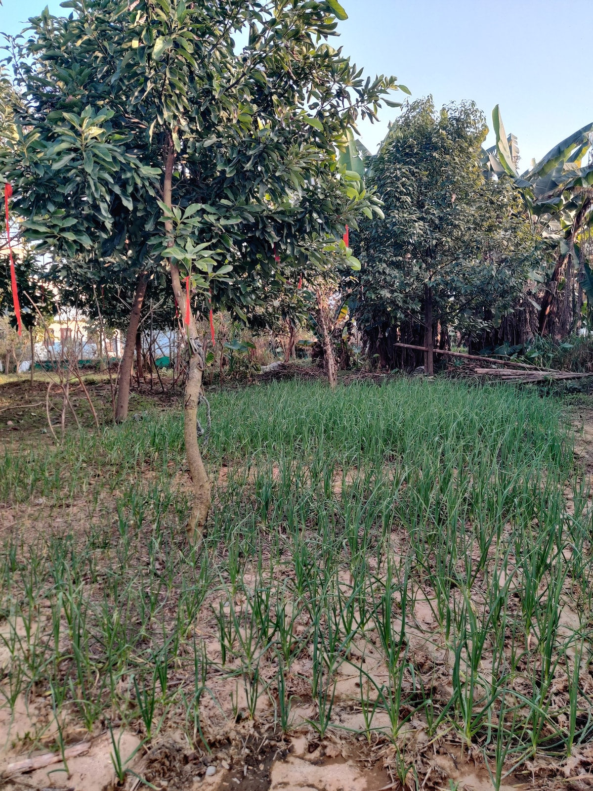 Bhoomi Organics — photo