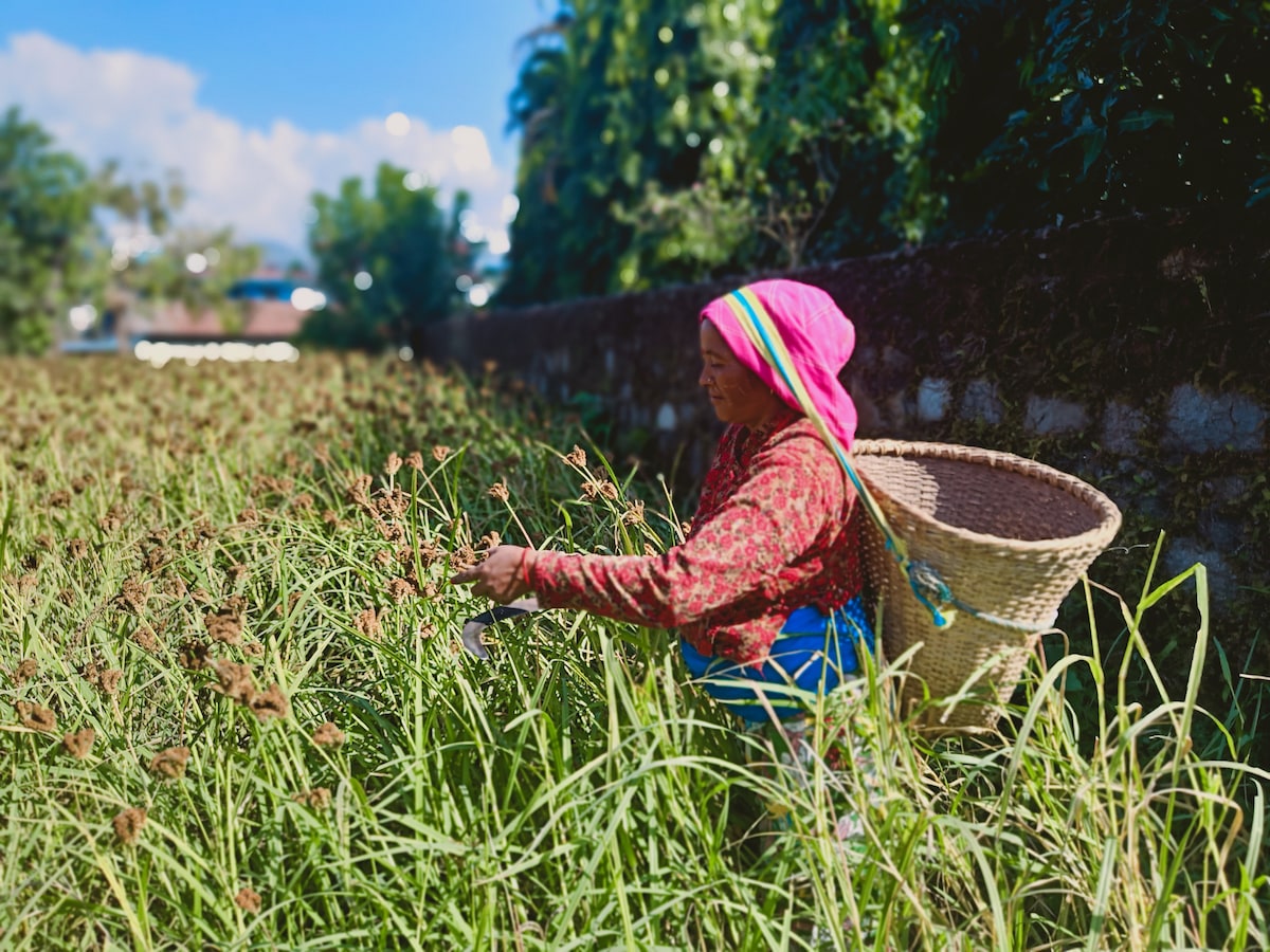 Bhoomi Organics — photo