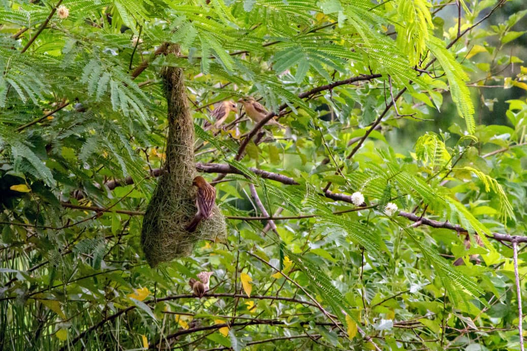 Bhoomi Organics — photo