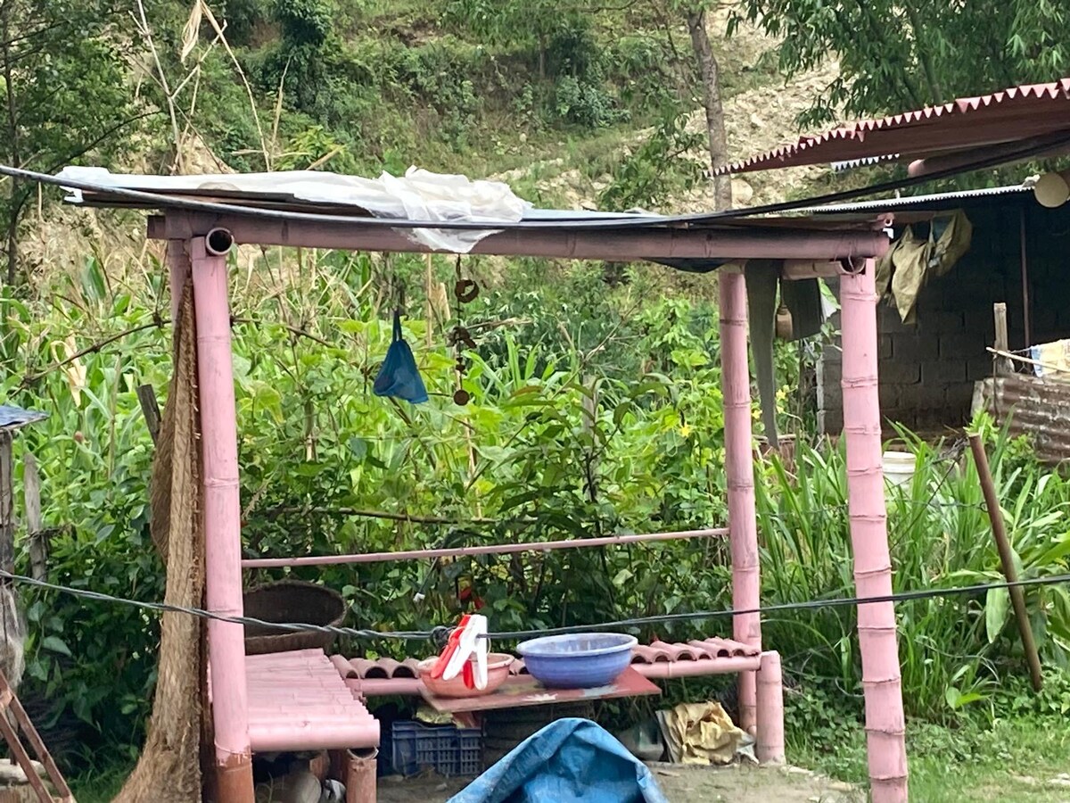 Organic Farm near Pokhara — photo