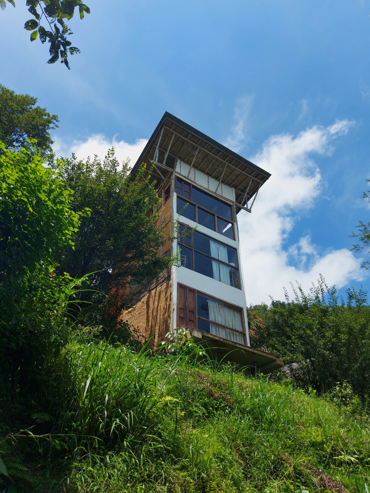 Venuvana - the Ant hill