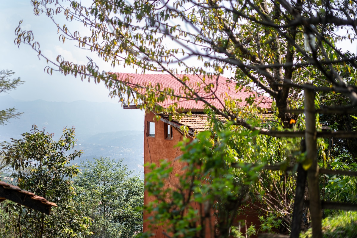 Venuvana - the Ant hill — photo