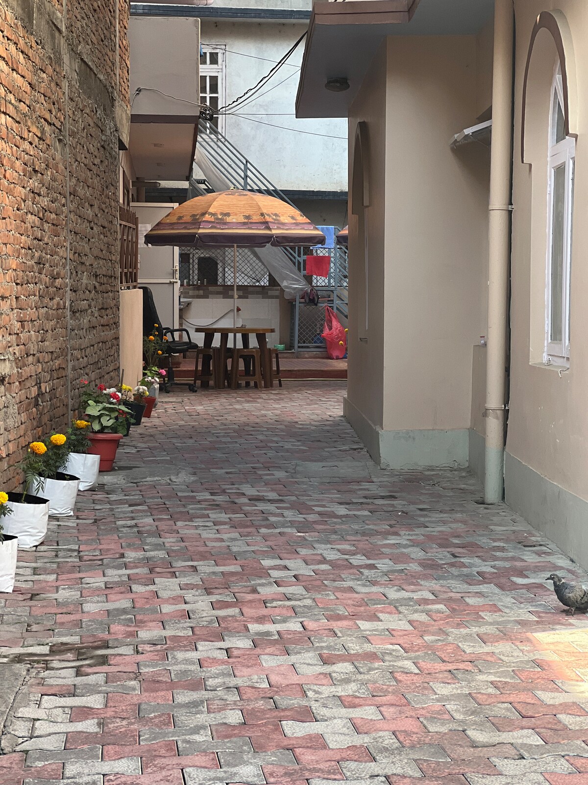 Havenyard luxury PG — photo