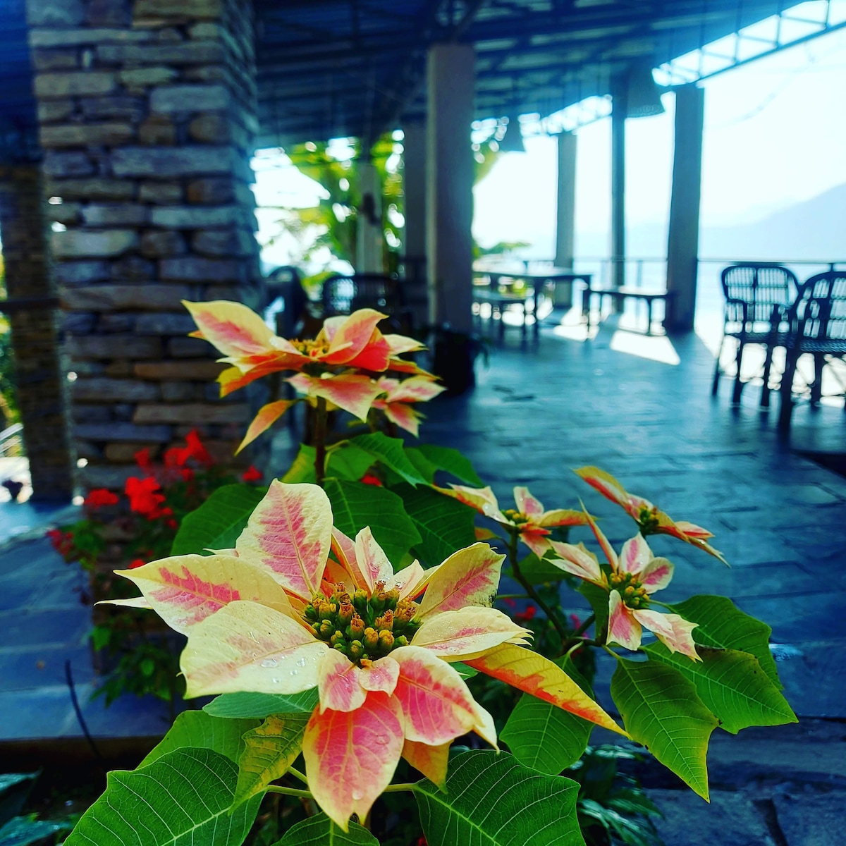 Cave Room 2 Deluxe Twin Village View — photo