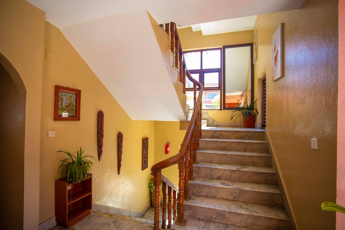 Urban Oasis — photo