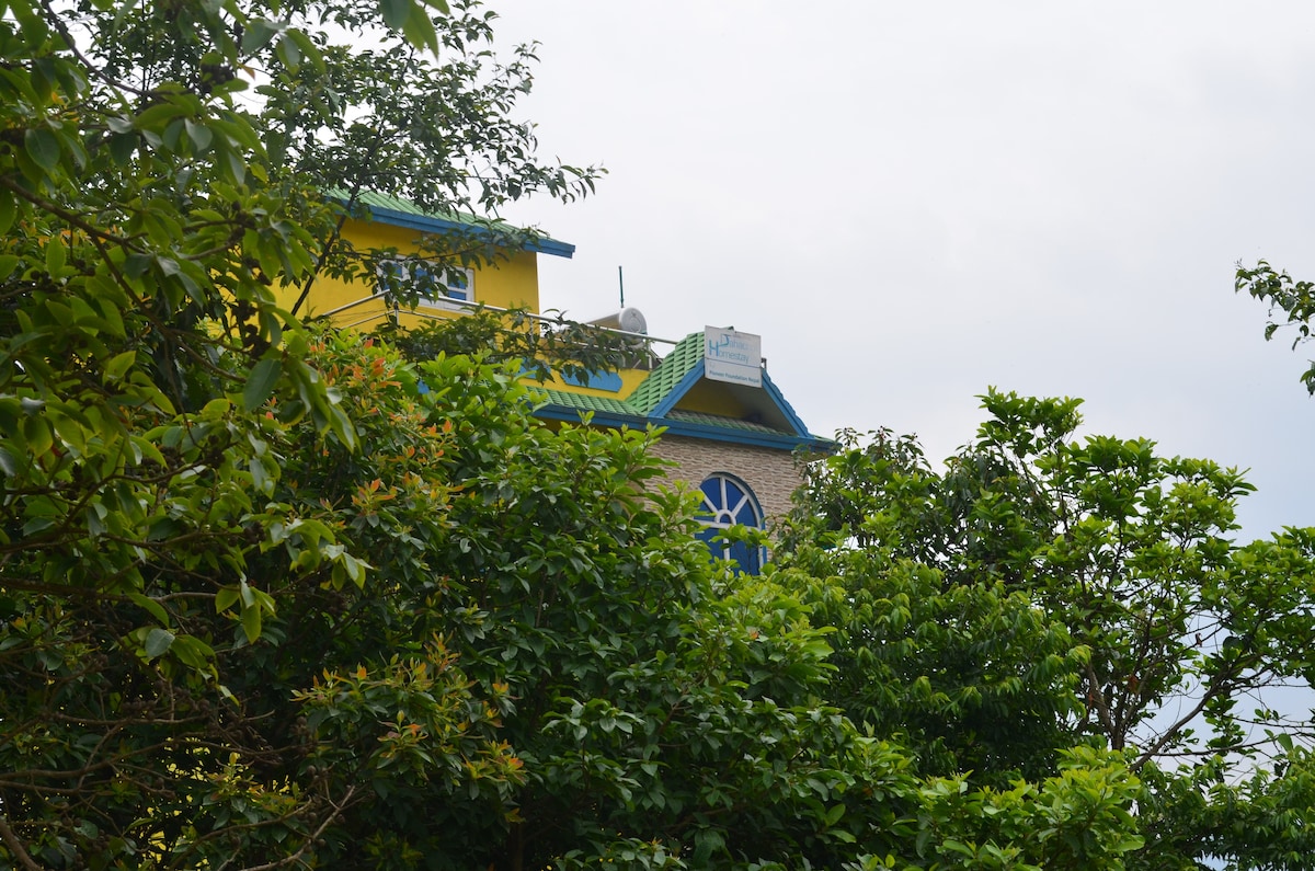 Located in green and peaceful environment. — photo