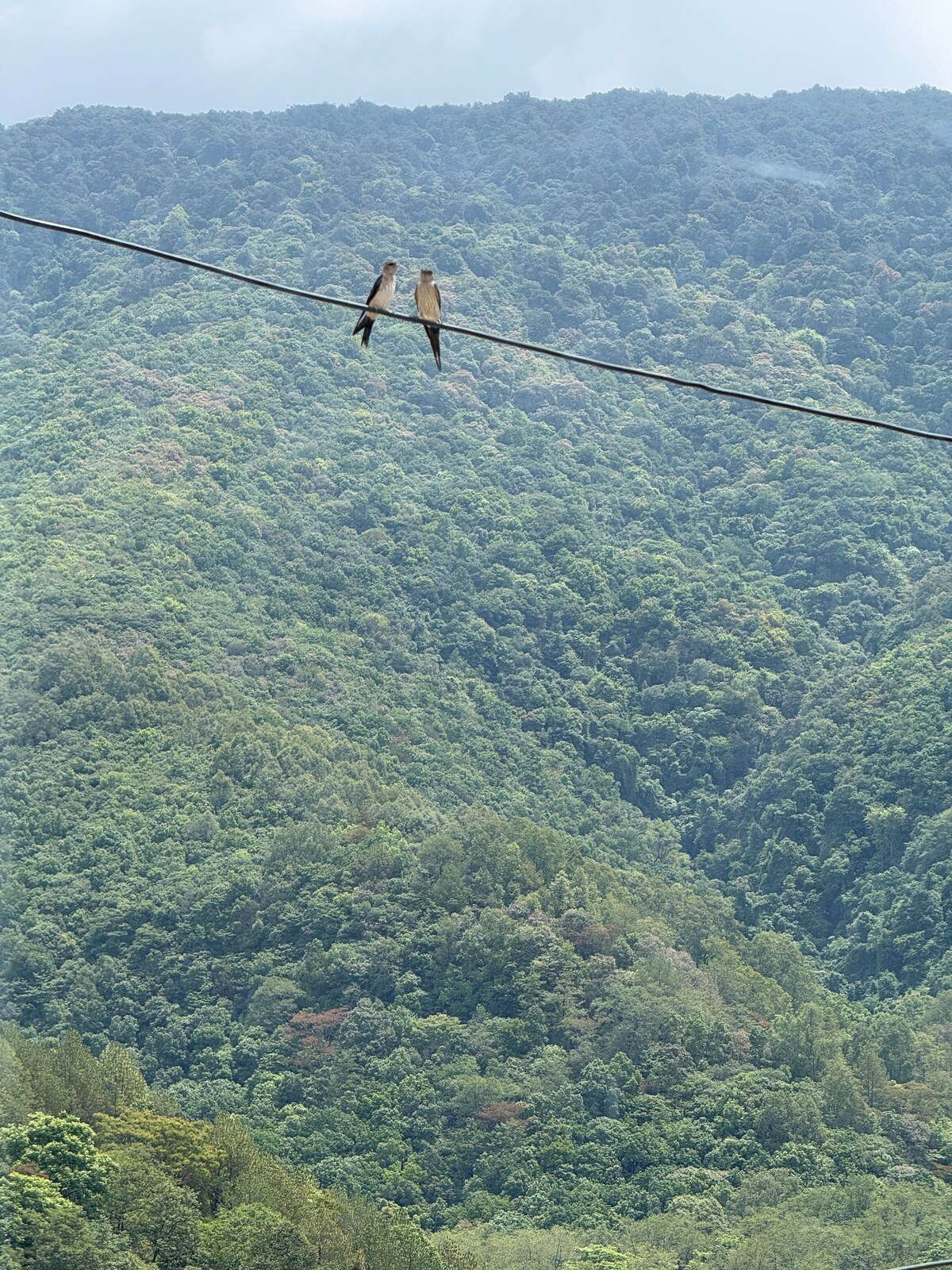Perched on a mountain top, breathtaking city view. — photo