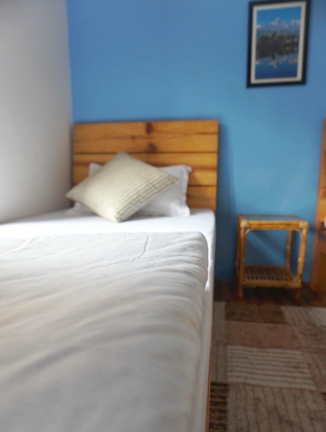 Jhigu Homestay Patan — photo