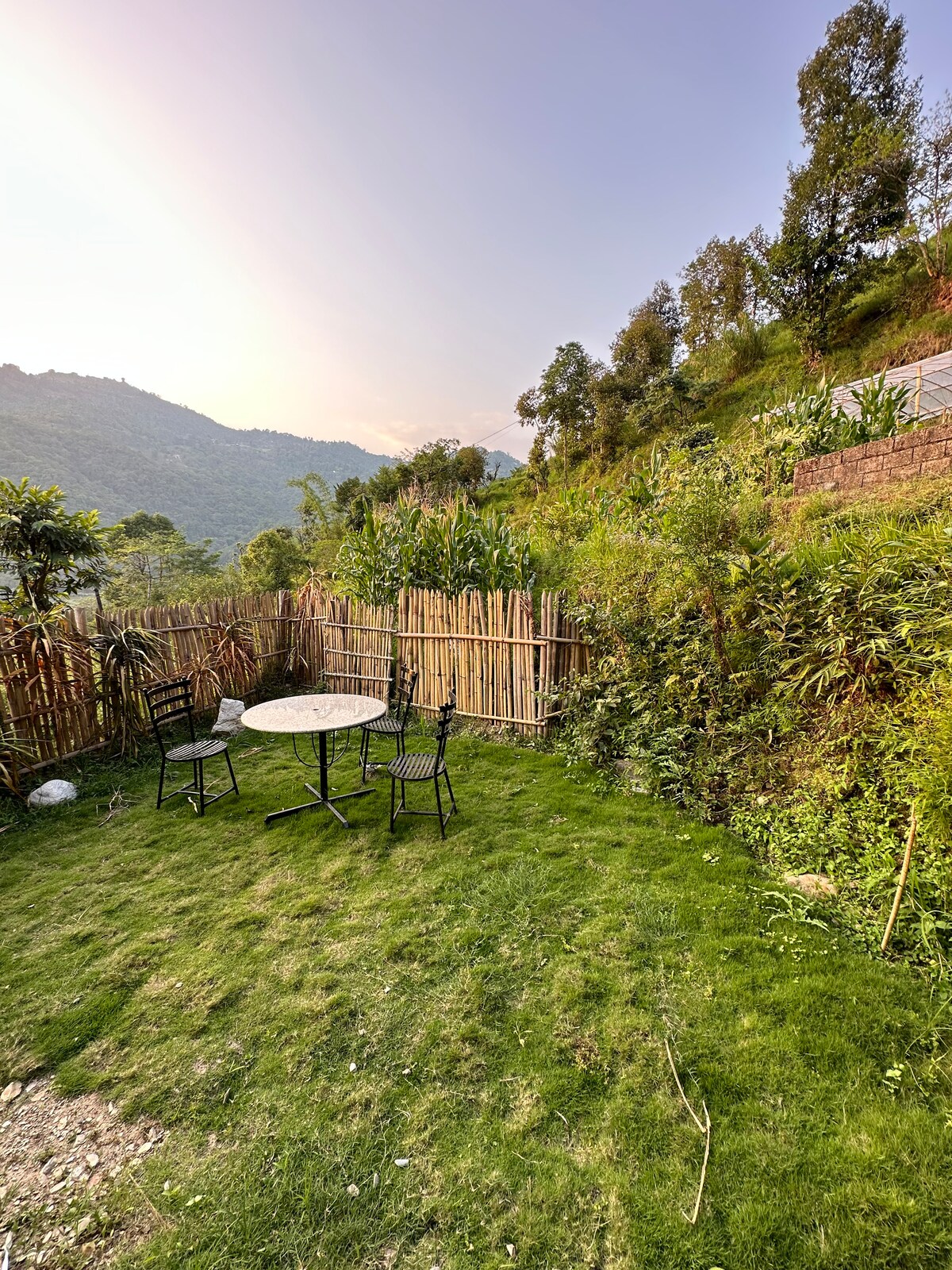 Nature Retreat Apartment — photo