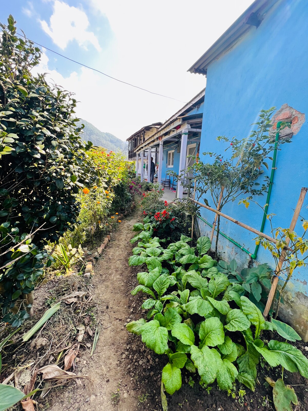 Dulal's Homestay! — photo