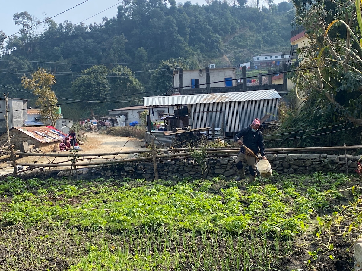 On the Wildside — photo