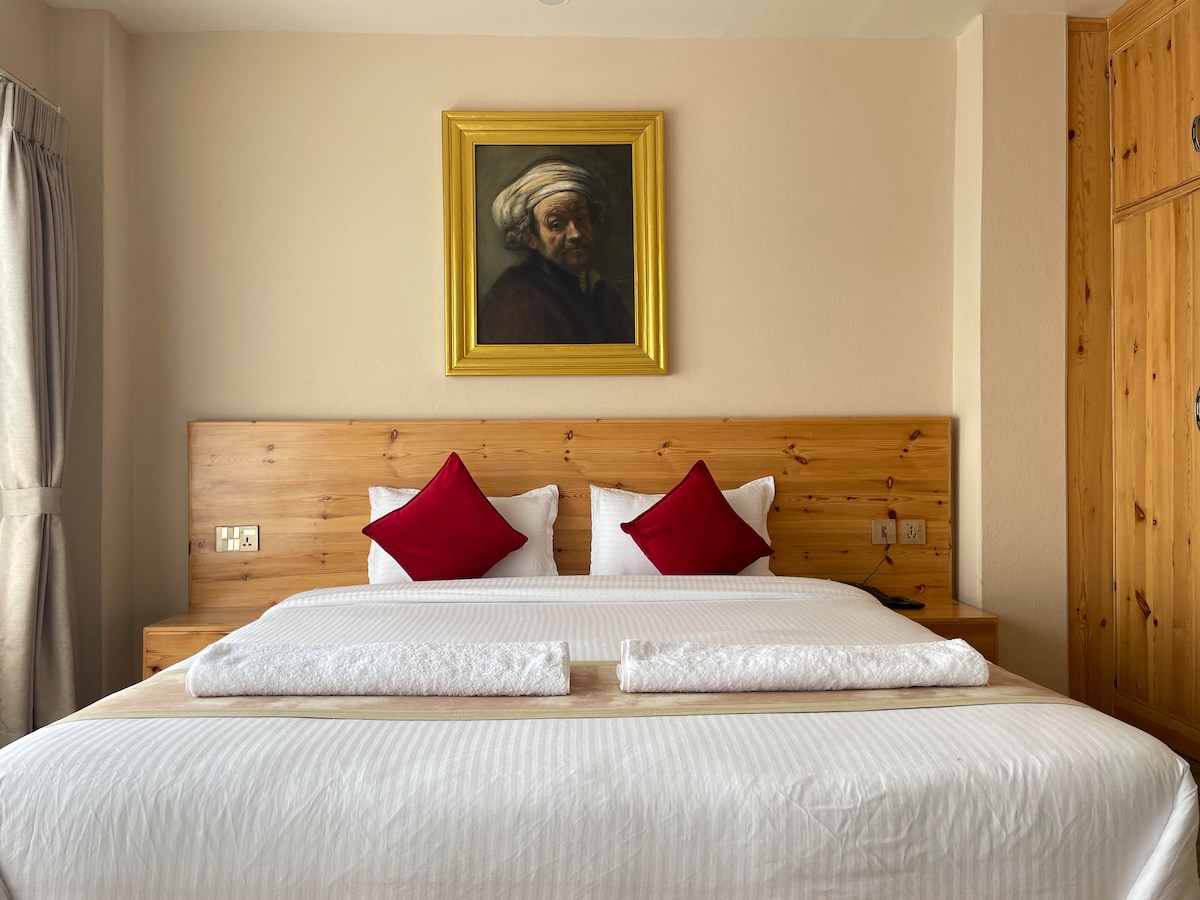 Mountains, forest, 360 panoramic view, art — photo