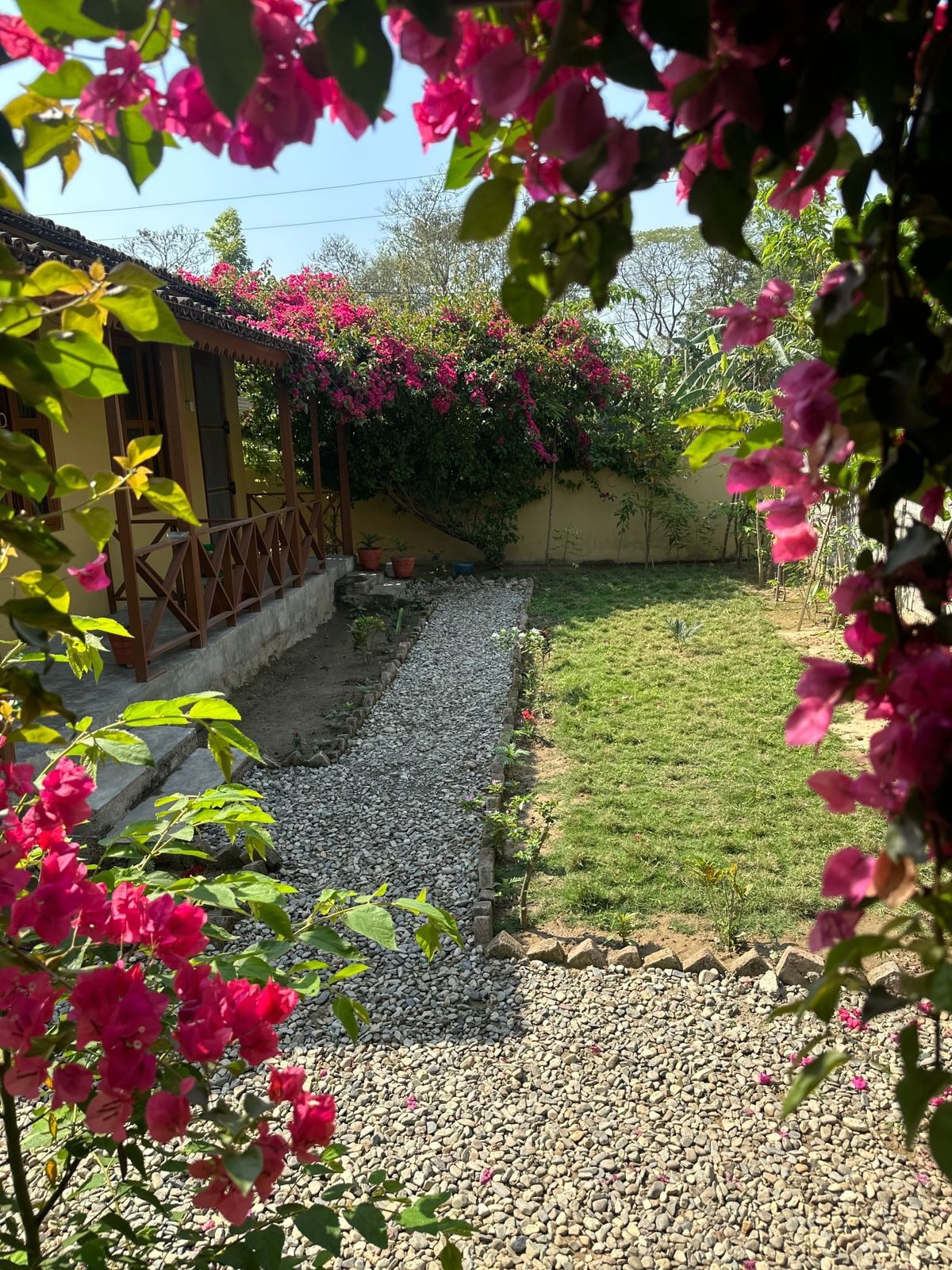 Sauraha Green Homestay — photo