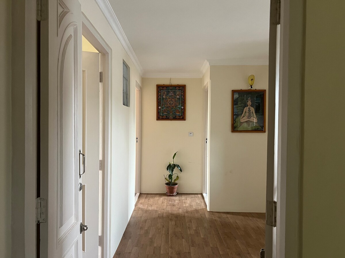 Yoga Stay Near Patan Square — photo