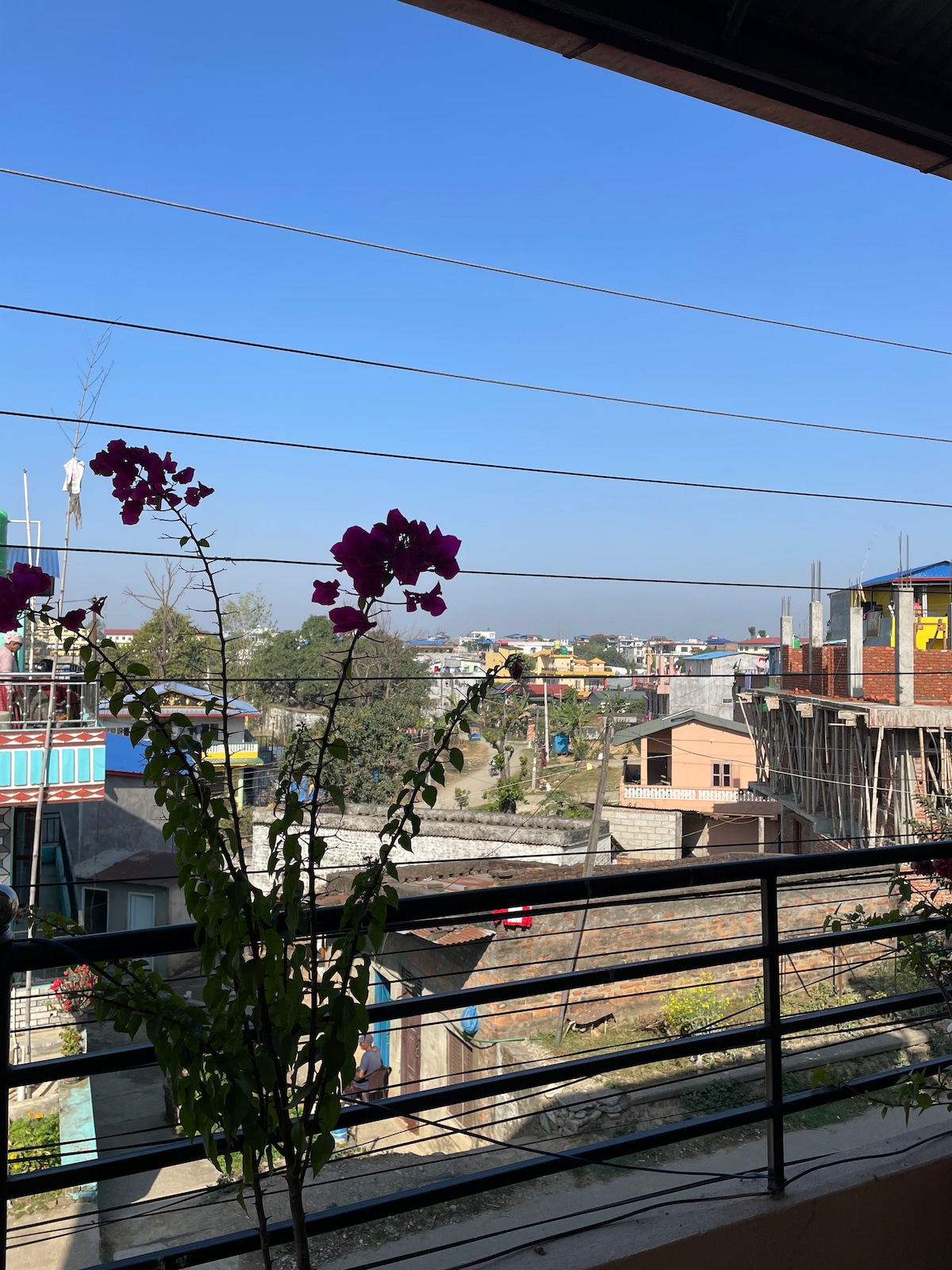 Homestay Apartment — photo