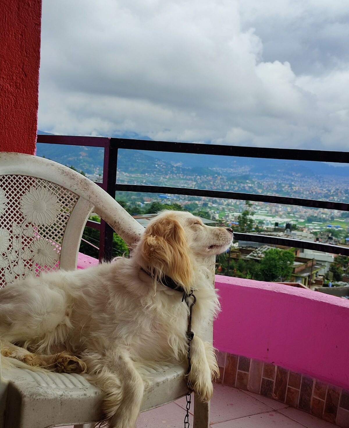 House with amazing view — photo