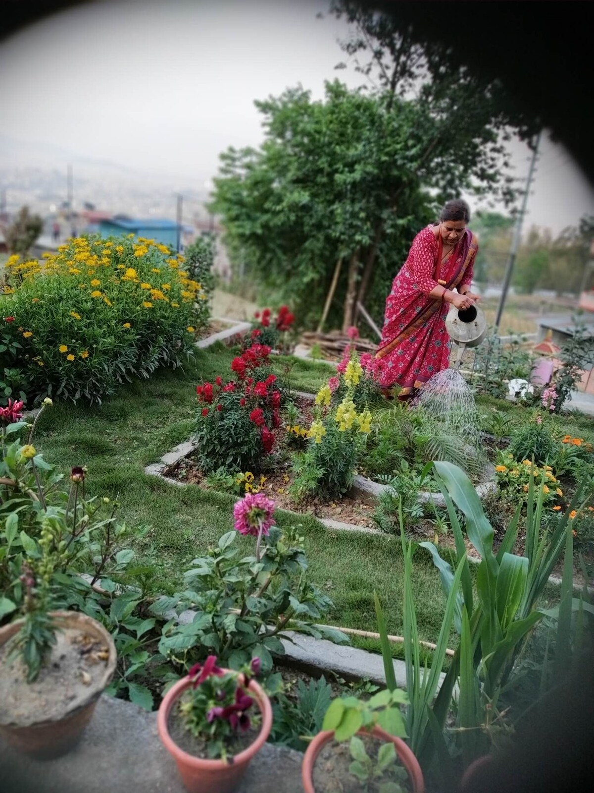House with amazing view — photo