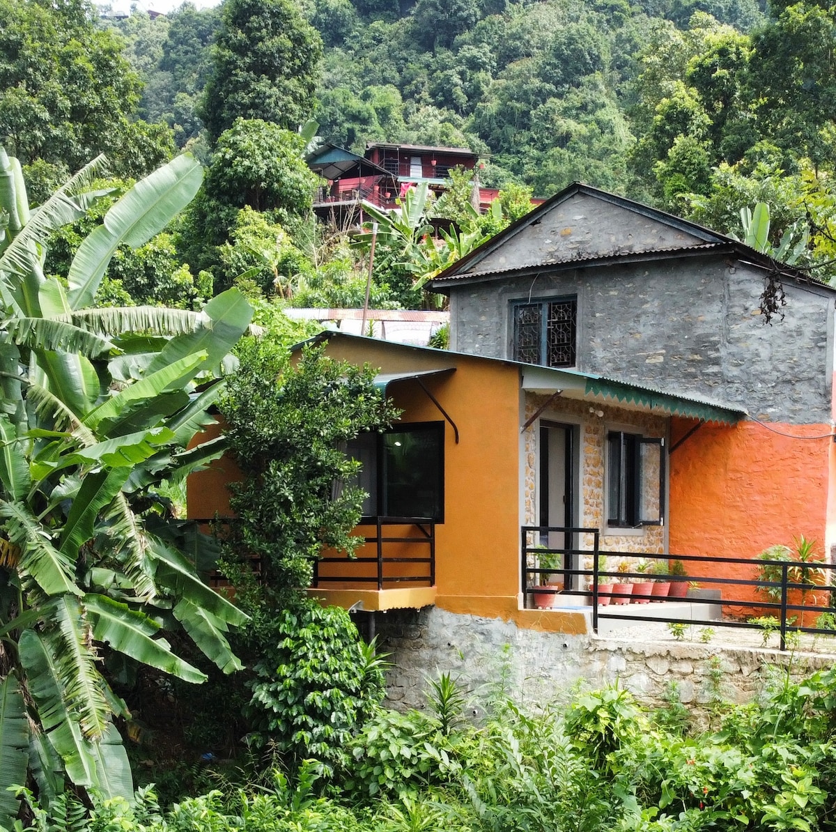 Forest Nest : Hillside Retreat