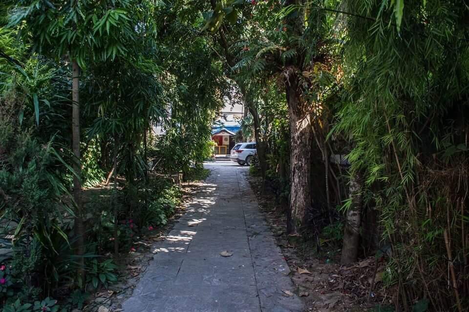 4) Yeti Guest House-ground floor-non ac — photo