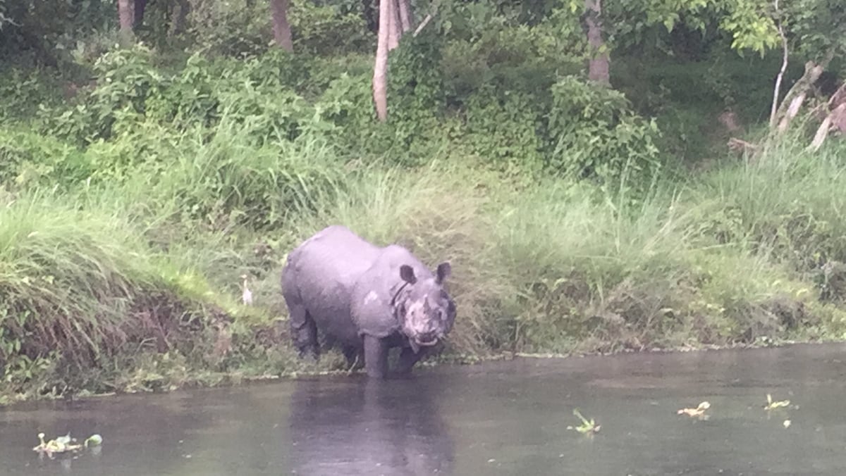 Chautari Garden Resort Deluxe Triple  room — photo