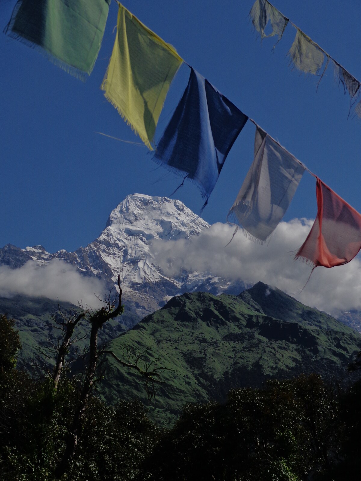 Peaceful, Organic and Welcoming Place — photo