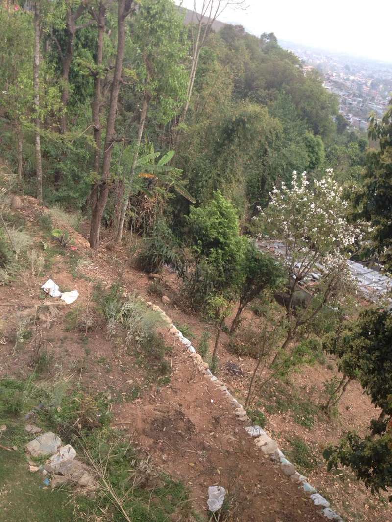 Peaceful, Organic and Welcoming Place — photo