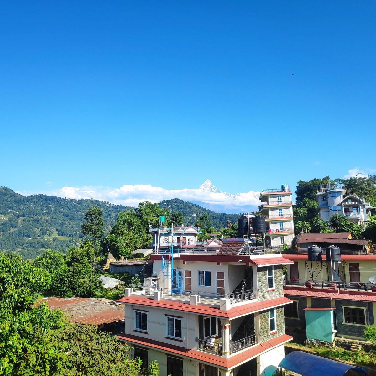 Hotel LilaIn — photo