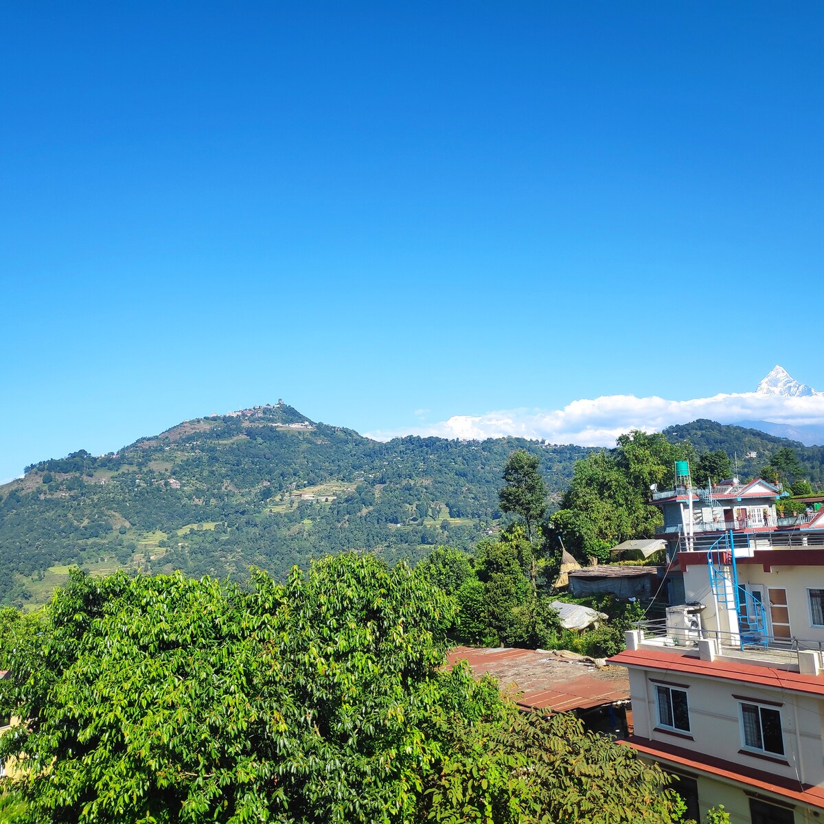 Hotel LilaIn — photo