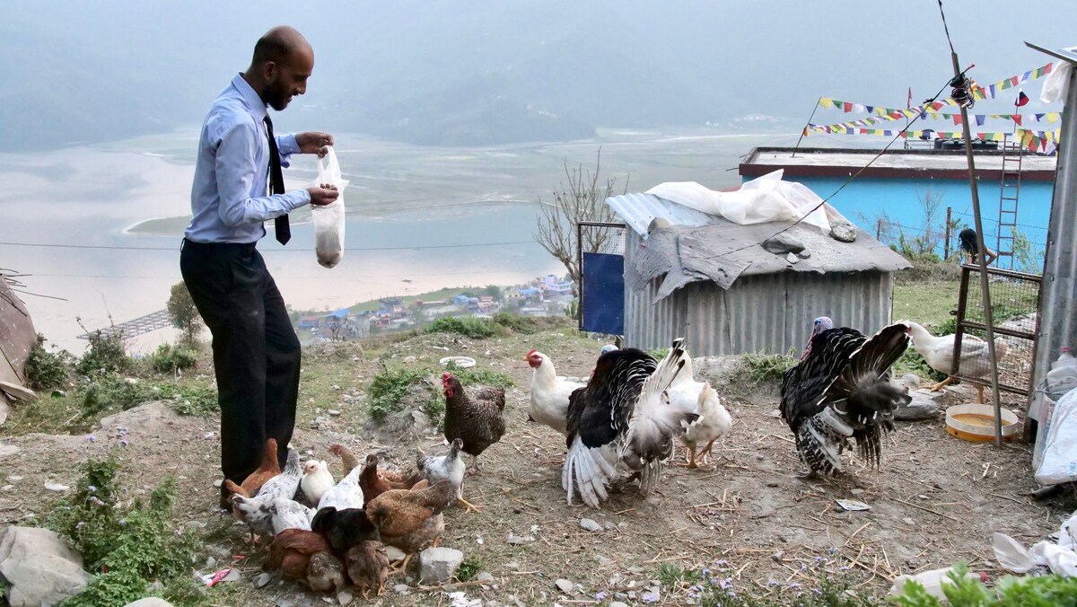 Fewa lakeview Apartment — photo