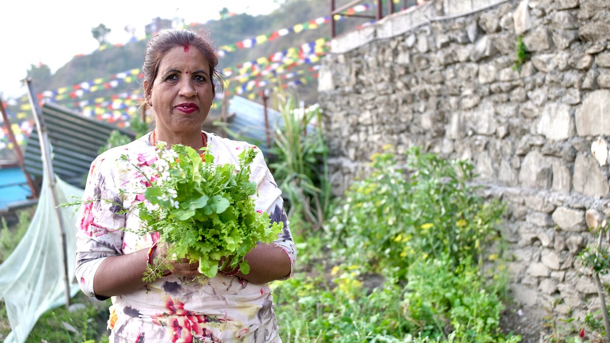 Fewa lakeview Apartment — photo